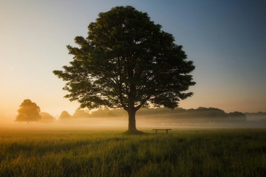 Cosa ci insegna la mindfulness sui nostri pensieri