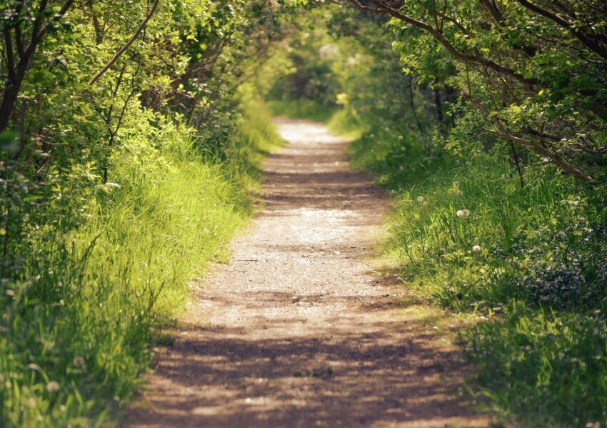 Meditazione camminata: un modo per connettersi con il mondo