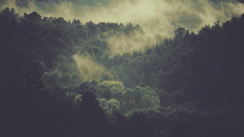 Donna italiana che pratica respirazione coerente al parco con espressione rilassata al mattino