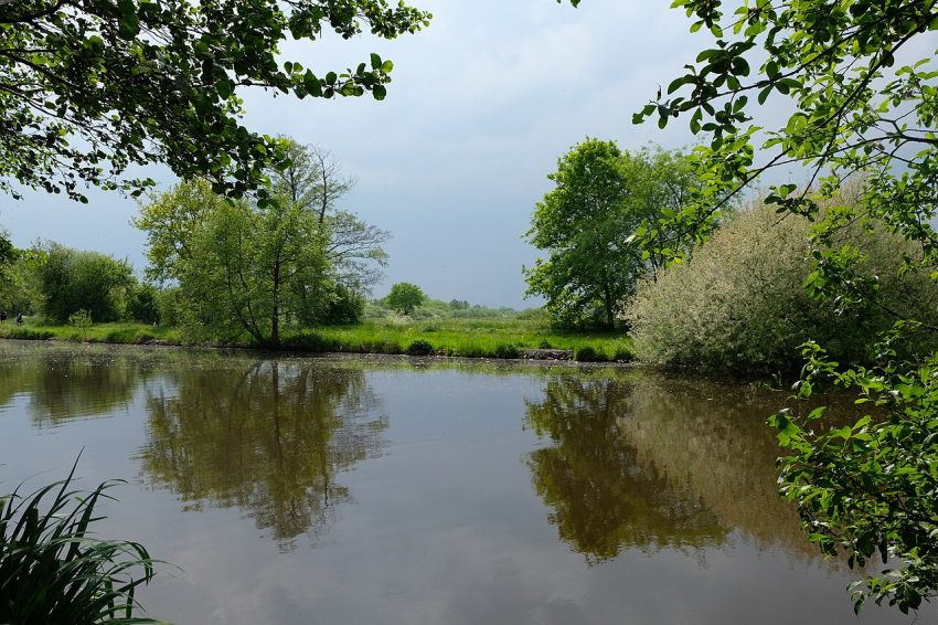 peaceful nature light (foto: Hlsoeve / CC BY-SA 4.0, Wikimedia Commons)