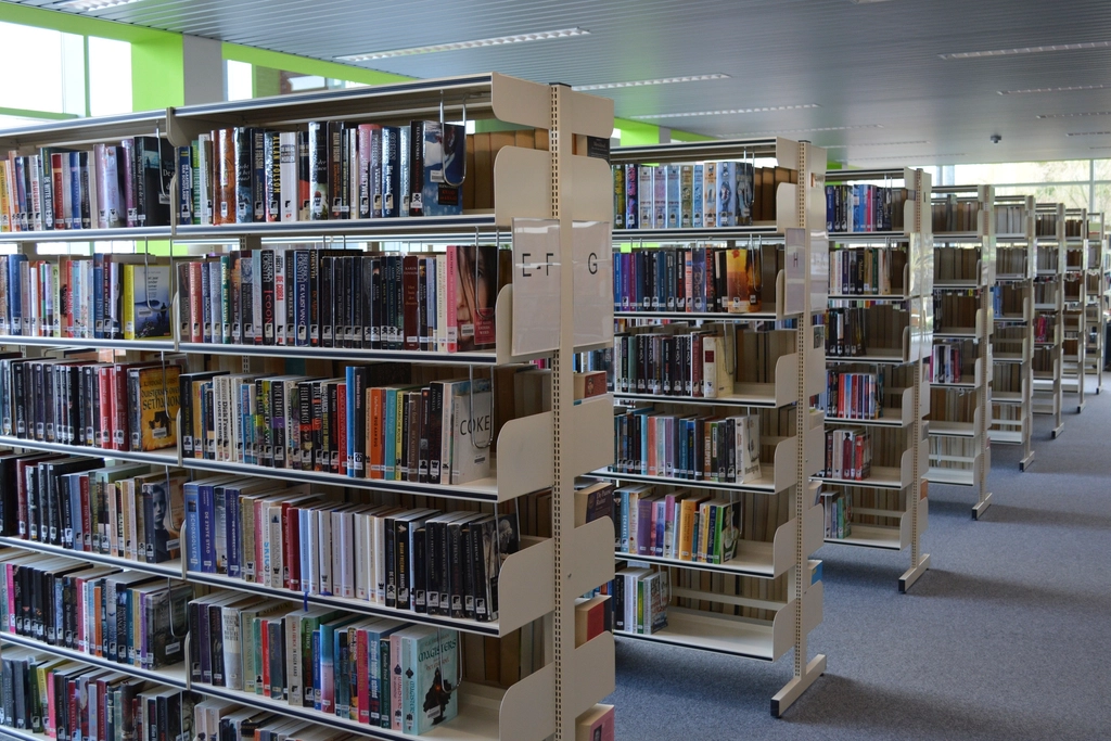 Scaffale di libreria con volumi allineati e dorsi consumati dall'uso
