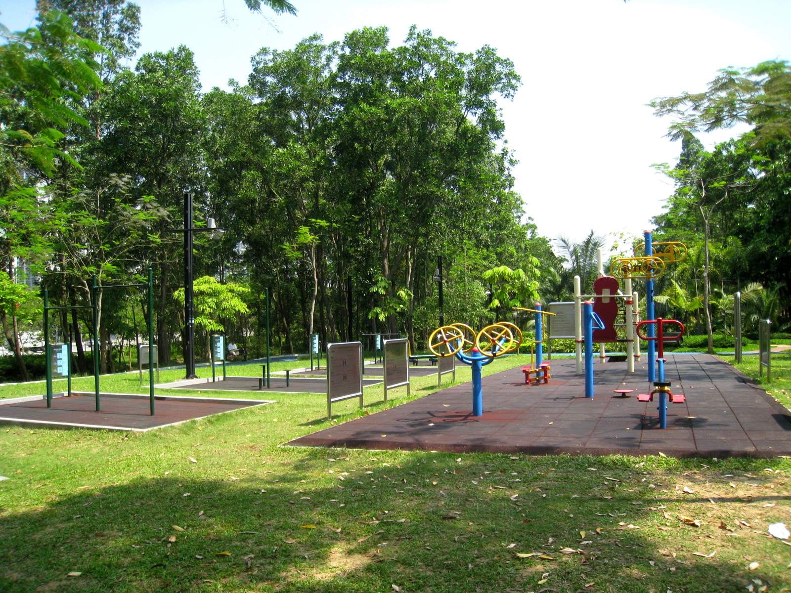Gruppo di persone anziane che pratica tai chi all'aperto in un parco al mattino